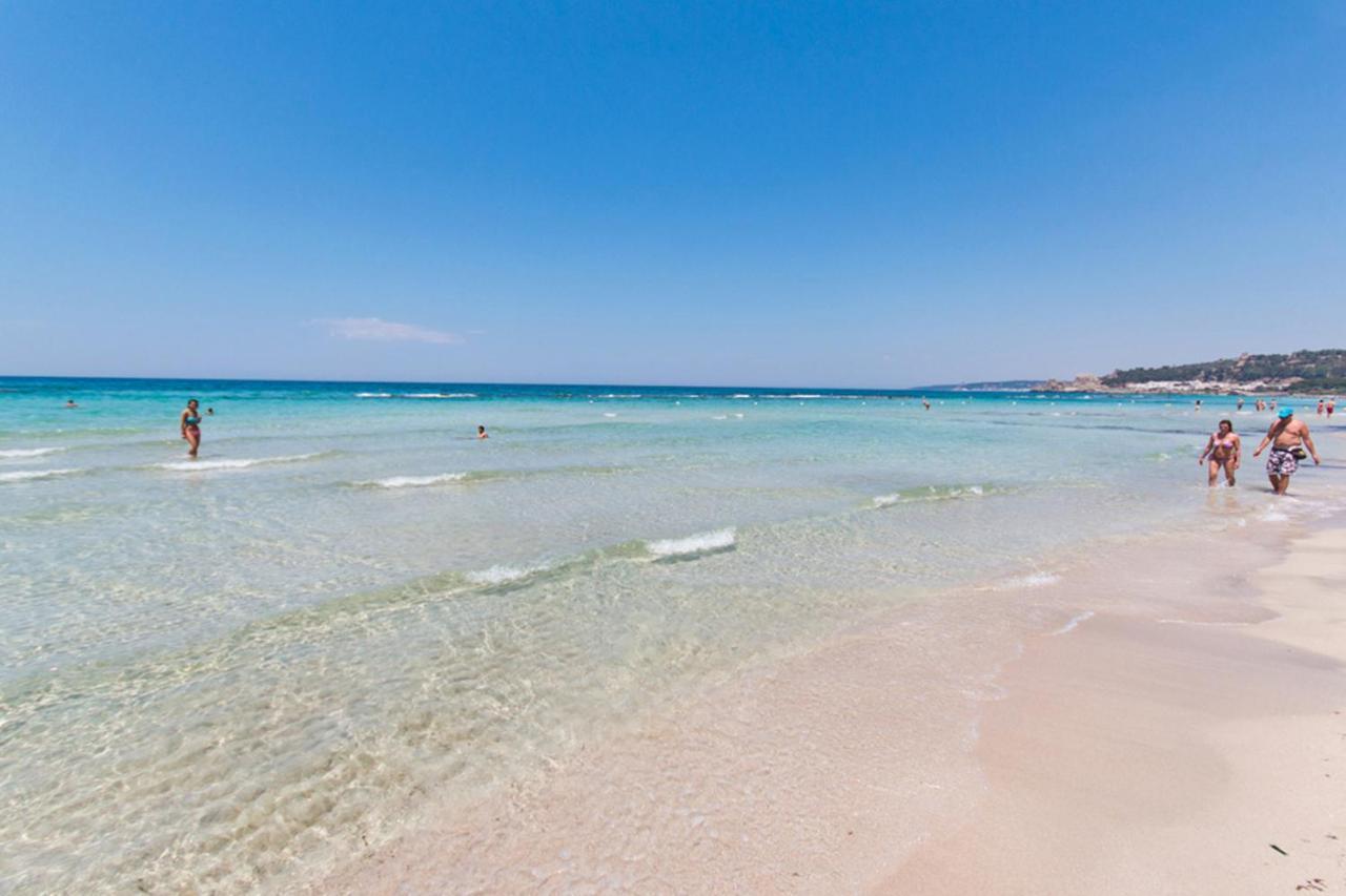 Delfino - Ampio Appartamento A 40 Metri Dalla Spiaggia Lido Conchiglia Exteriér fotografie