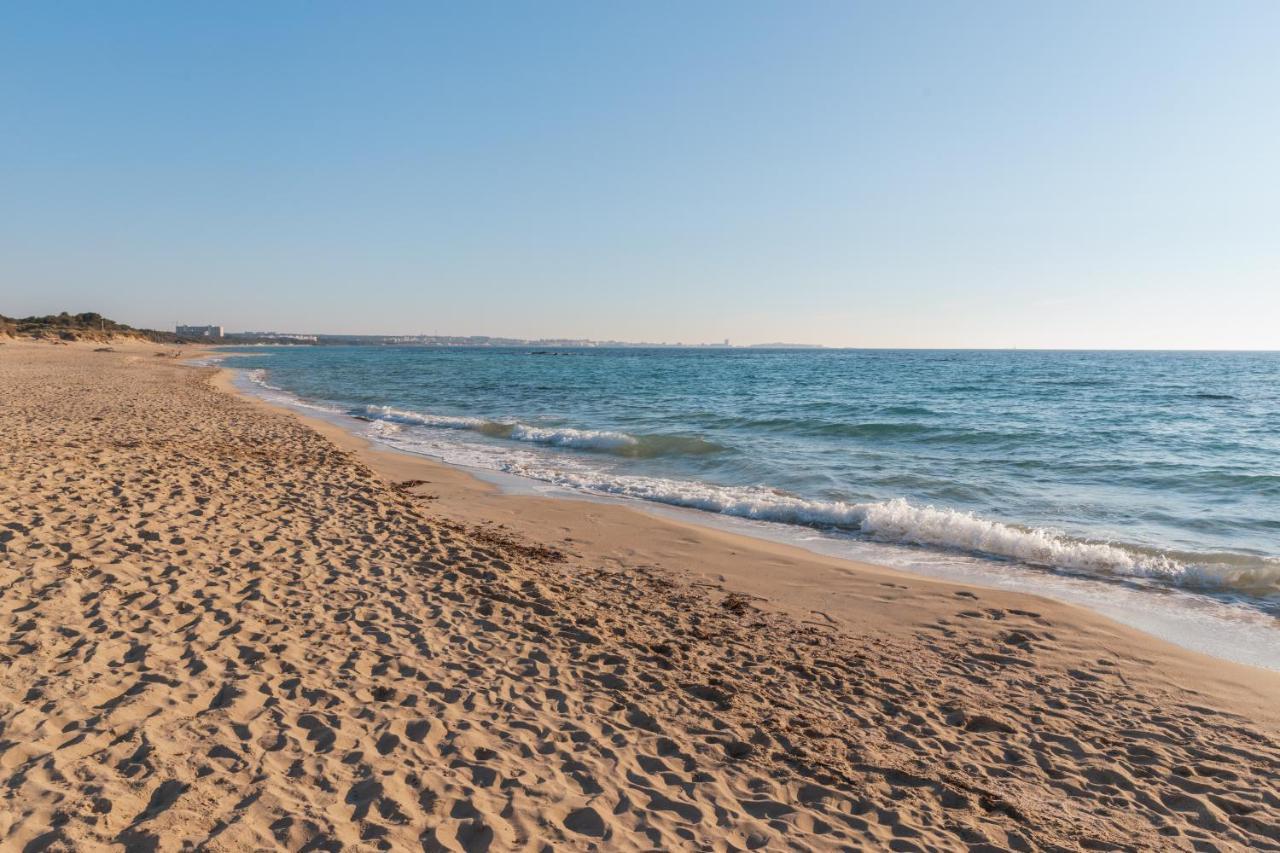 Delfino - Ampio Appartamento A 40 Metri Dalla Spiaggia Lido Conchiglia Exteriér fotografie